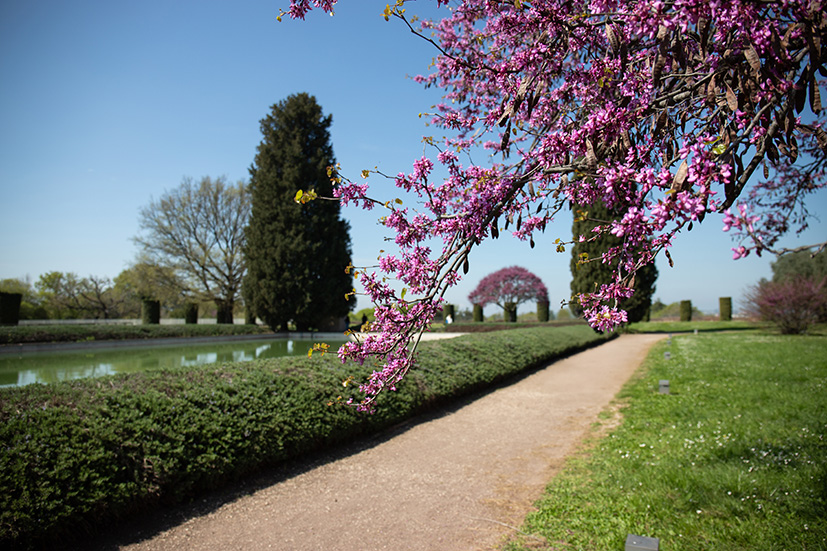 Villa Adriana, Tivoli, Lazio